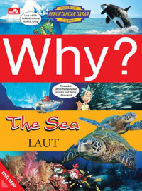 Image of Why? The Sea: Laut
